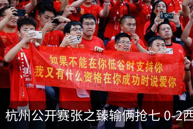 杭州公开赛张之臻输俩抢七 0-2西里奇收获亚军