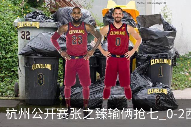 杭州公开赛张之臻输俩抢七 0-2西里奇收获亚军